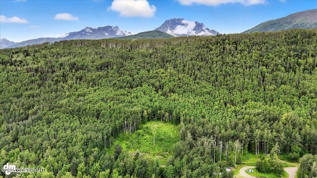 13630 E Kings River Dr, Sutton, AK 99674 - photo 12