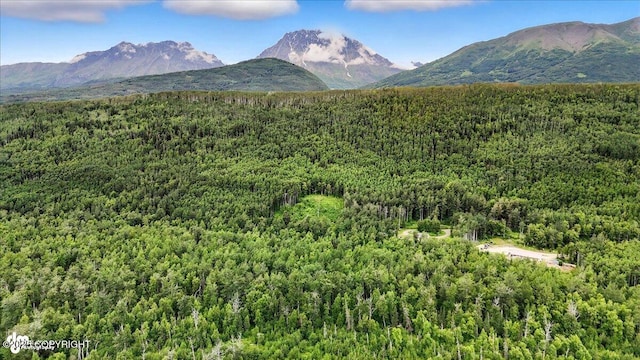 13630 E Kings River Dr, Sutton, AK 99674 - photo 13