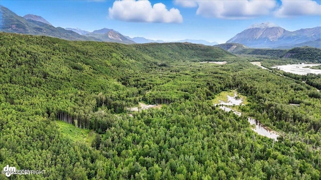13630 E Kings River Dr, Sutton, AK 99674 - photo 16