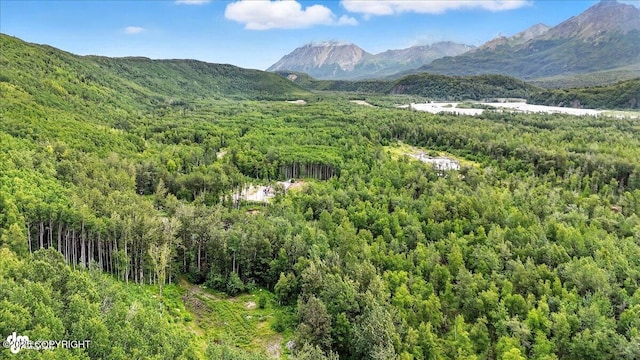 13630 E Kings River Dr, Sutton, AK 99674 - photo 24