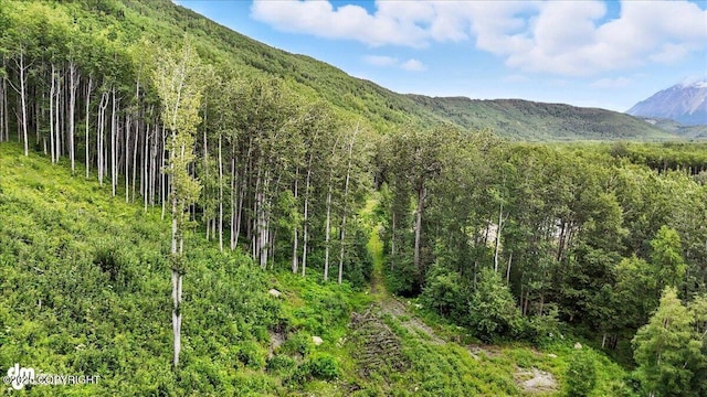 13630 E Kings River Dr, Sutton, AK 99674 - photo 25