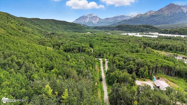 13630 E Kings River Dr, Sutton, AK 99674 - photo 27