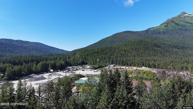 1110 Slim Williams Way, Juneau, AK 99801 - photo 23