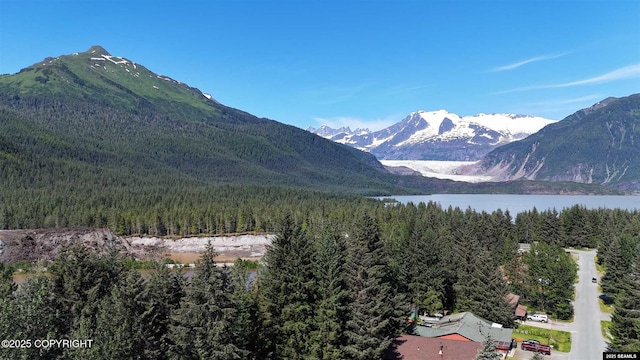 1110 Slim Williams Way, Juneau, AK 99801 - photo 24