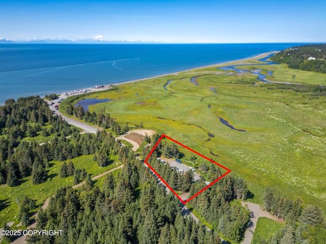 74244 Anchor Point Rd, Anchor Point, AK 99556 - photo 1