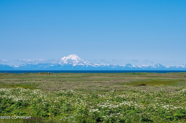 74244 Anchor Point Rd, Anchor Point, AK 99556 - photo 2