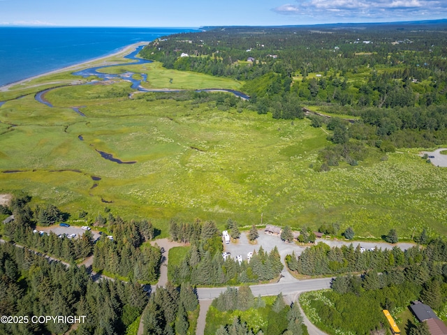 74244 Anchor Point Rd, Anchor Point, AK 99556 - photo 4