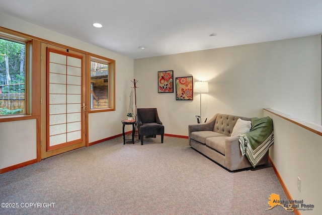 3540 E 142nd Ave, Anchorage, AK 99516 - photo 54