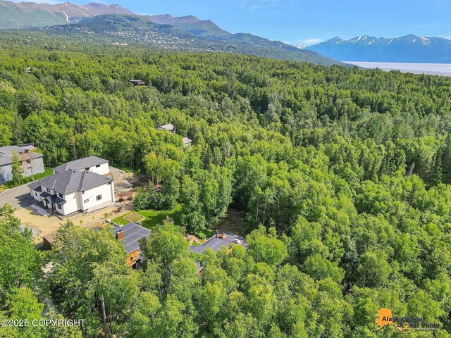 3540 E 142nd Ave, Anchorage, AK 99516 - photo 131