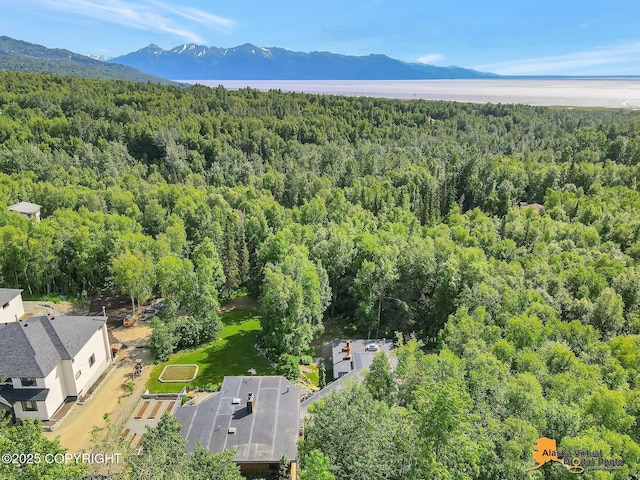 3540 E 142nd Ave, Anchorage, AK 99516 - photo 133