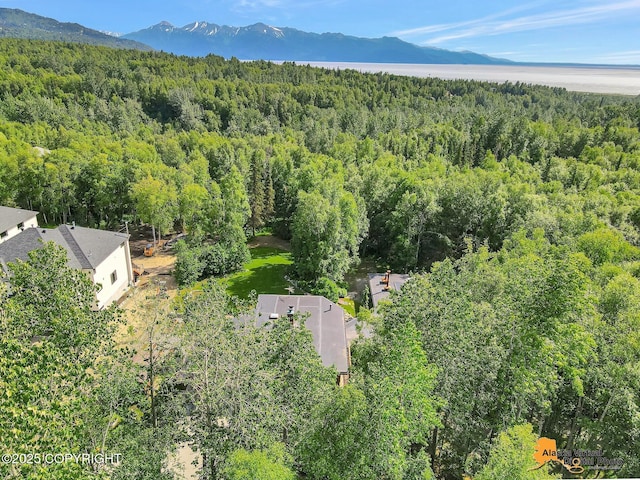 3540 E 142nd Ave, Anchorage, AK 99516 - photo 138