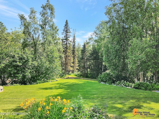 3540 E 142nd Ave, Anchorage, AK 99516 - photo 108