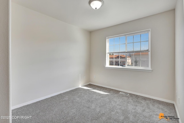 152 Matthew Paul Way # 27, Anchorage, AK 99504 - photo 26