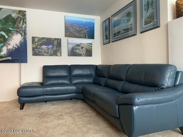 100 Kenai St # 808, Whittier, AK 99693 - photo 9