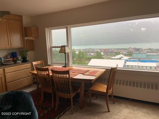 100 Kenai St # 808, Whittier, AK 99693 - photo 11