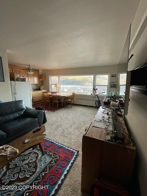 100 Kenai St # 808, Whittier, AK 99693 - photo 12