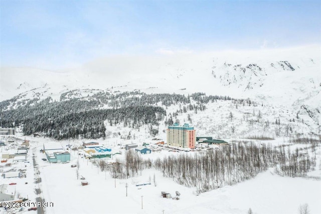 100 Kenai St # 808, Whittier, AK 99693 - photo 25