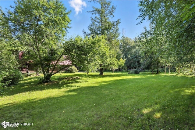 1301 S Felton St, Palmer, AK 99645 - photo 42