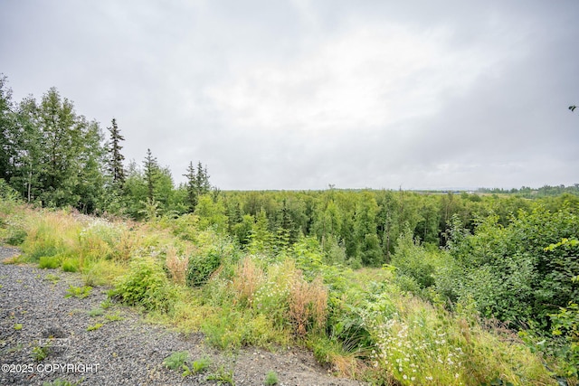5490 S Irwin Dr, Wasilla, AK 99623 - photo 51