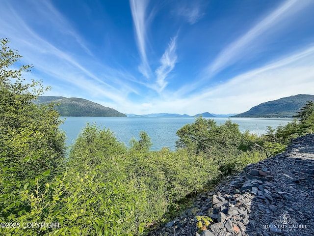 MILE7 Zimovia Hwy, Wrangell, AK 99929 - photo 17
