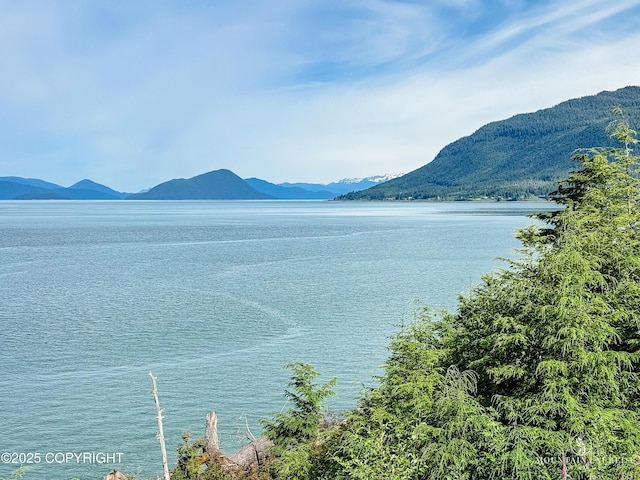 MILE7 Zimovia Hwy, Wrangell, AK 99929 - photo 14