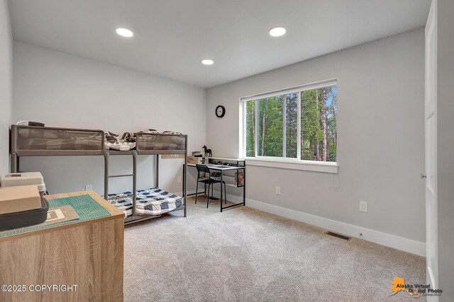 6831 S Rolf Cir, Wasilla, AK 99623 - photo 46