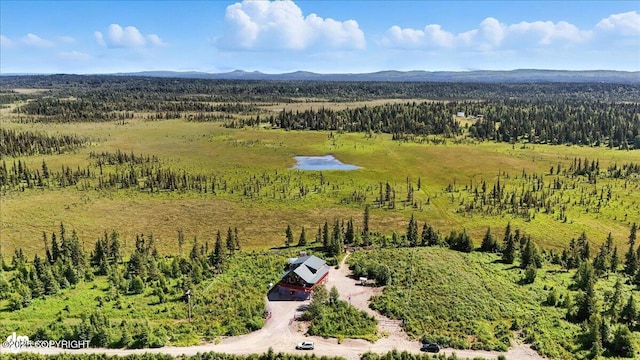 26996 Rowen St, Anchor Point, AK 99556 - photo 9