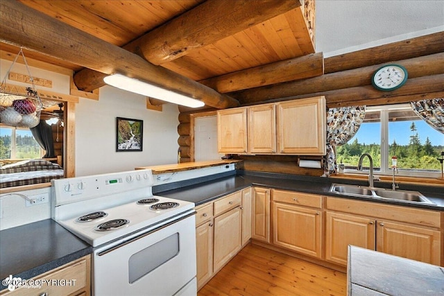 26996 Rowen St, Anchor Point, AK 99556 - photo 12