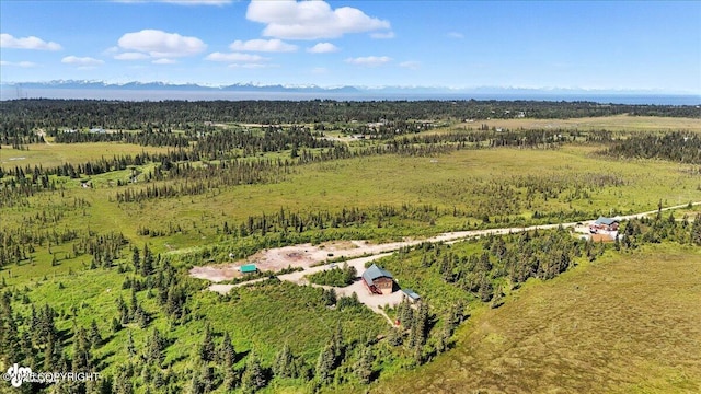 26996 Rowen St, Anchor Point, AK 99556 - photo 67