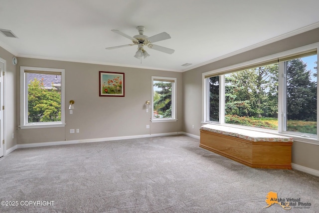 900 Botanical Heights Cir, Anchorage, AK 99515 - photo 43