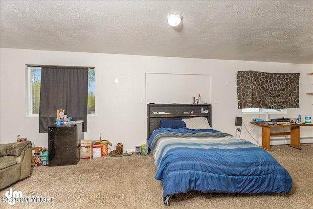 9494 S Polaris Ln, Wasilla, AK 99623 - photo 12