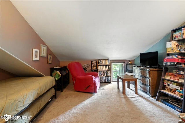 359 W Fairview Ave, Homer, AK 99603 - photo 16