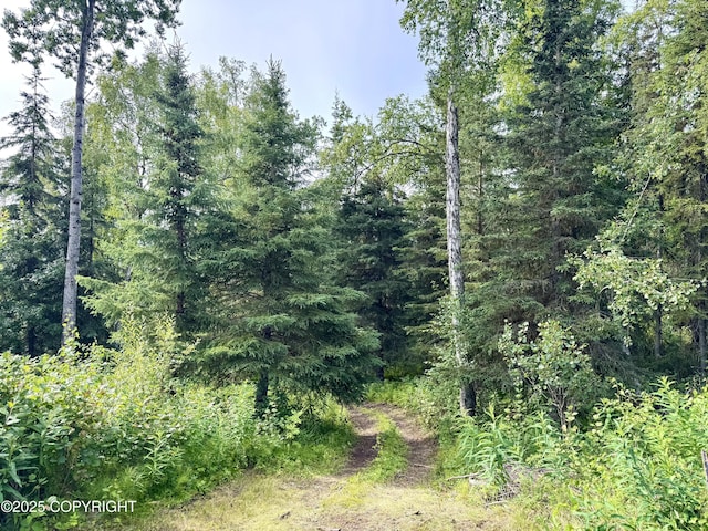 35200 Reger Rd, Soldotna, AK 99669 - photo 37