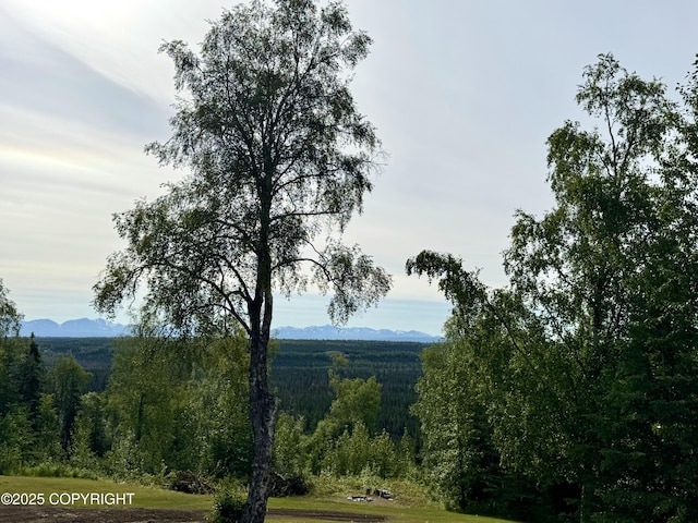 35200 Reger Rd, Soldotna, AK 99669 - photo 36