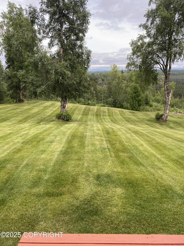 35200 Reger Rd, Soldotna, AK 99669 - photo 34