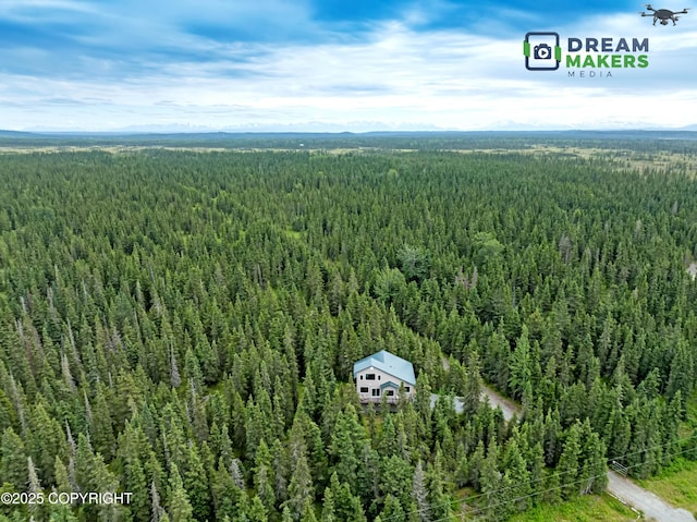 25834 S Cohoe Loop Rd, Kasilof, AK 99610 - photo 4