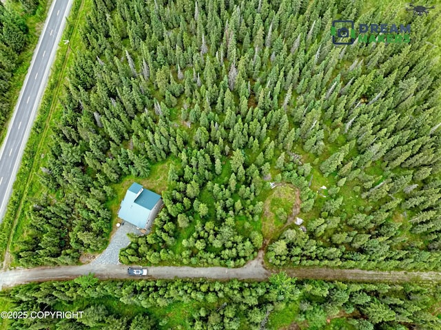 25834 S Cohoe Loop Rd, Kasilof, AK 99610 - photo 6