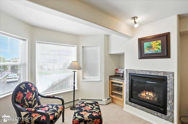 11351 Discovery View Dr Unit 103, Anchorage, AK 99515 - photo 8