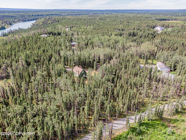 37461 Arabian Ln, Sterling, AK 99672 - photo 56