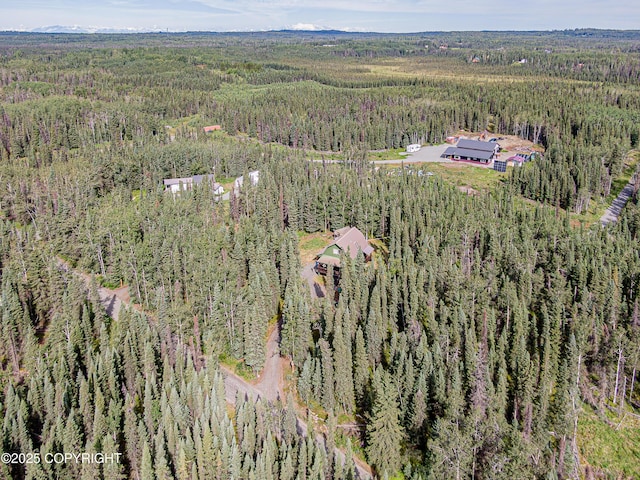 37461 Arabian Ln, Sterling, AK 99672 - photo 58