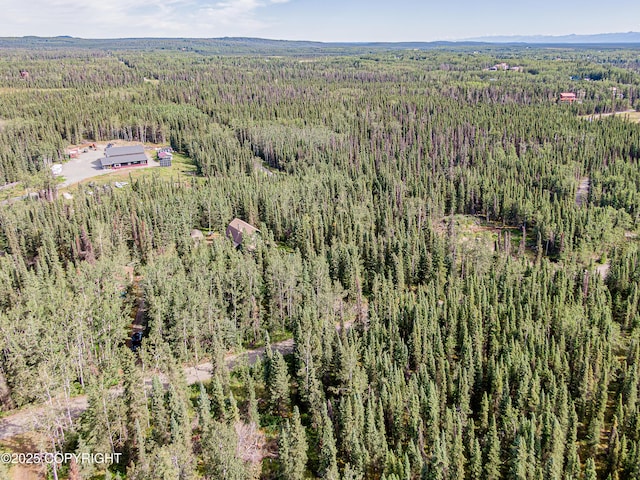 37461 Arabian Ln, Sterling, AK 99672 - photo 59