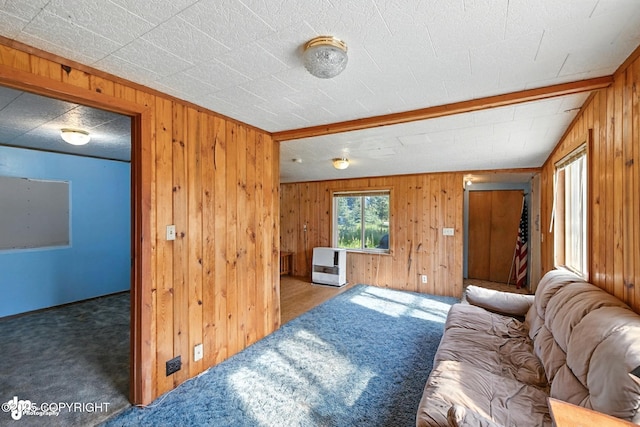 15815 Tovarish Rd, Ninilchik, AK 99639 - photo 22