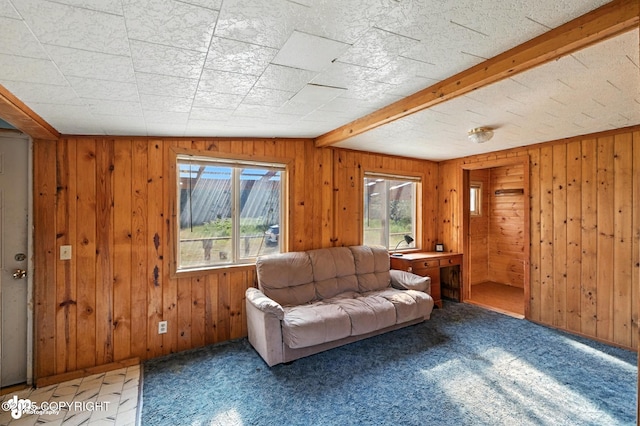 15815 Tovarish Rd, Ninilchik, AK 99639 - photo 24