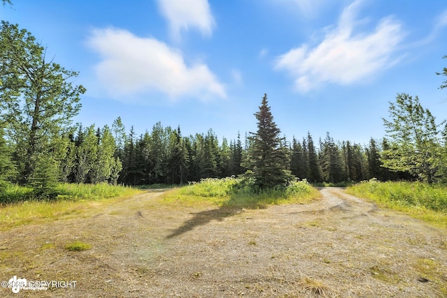 15815 Tovarish Rd, Ninilchik, AK 99639 - photo 35