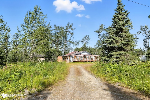 15815 Tovarish Rd, Ninilchik, AK 99639 - photo 39