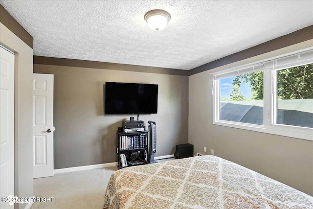 10826 Goodpaster Cir, Eagle River, AK 99577 - photo 19