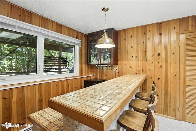 10826 Goodpaster Cir, Eagle River, AK 99577 - photo 29
