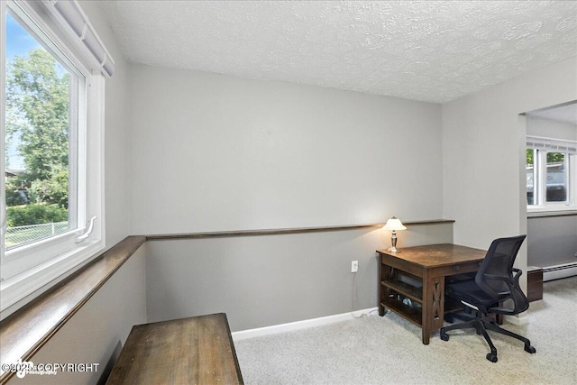 10826 Goodpaster Cir, Eagle River, AK 99577 - photo 33
