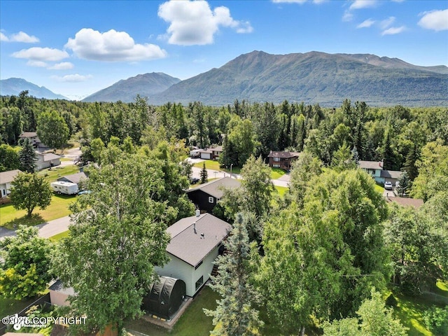 10826 Goodpaster Cir, Eagle River, AK 99577 - photo 2