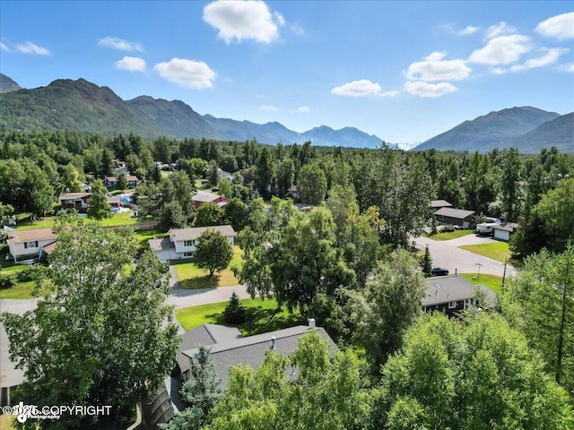10826 Goodpaster Cir, Eagle River, AK 99577 - photo 47